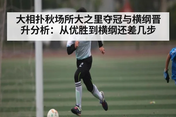 大相扑秋场所大之里夺冠与横纲晋升分析：从优胜到横纲还差几步